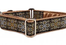 Top Martingale Dog Collars Brands