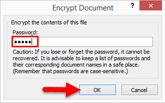 Protect Excel file 3