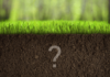 soil 