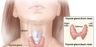 How ENT Treat Thyroid Conditions