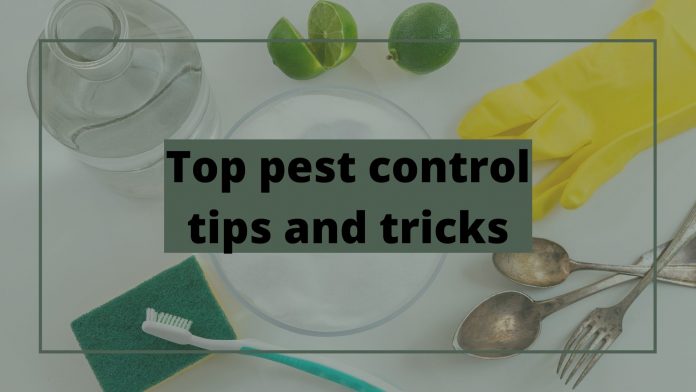 Top pest control tips and tricks
