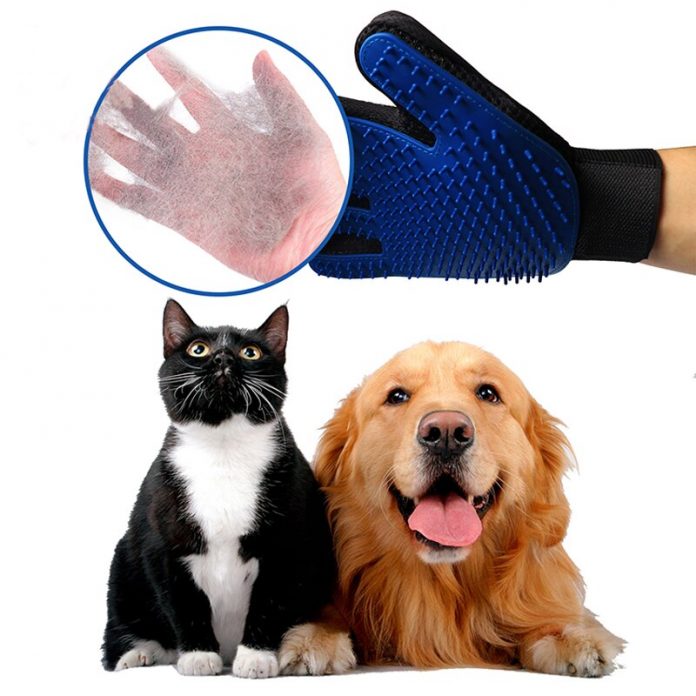 cat brushing gloves