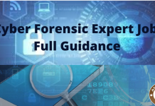 Cyber Forensic Expert Jobs