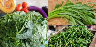 Different types of Weird Vegetables In India With Benefits