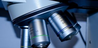 What Are the 5 Types of Microscopes and Their Uses