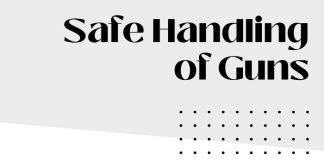 Safe handling guns