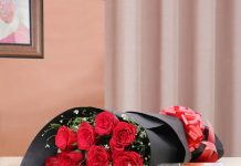 rose day gifts
