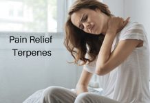 Terpenes Pain Relief