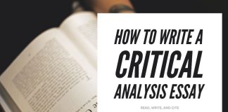 write critical analysis essay,