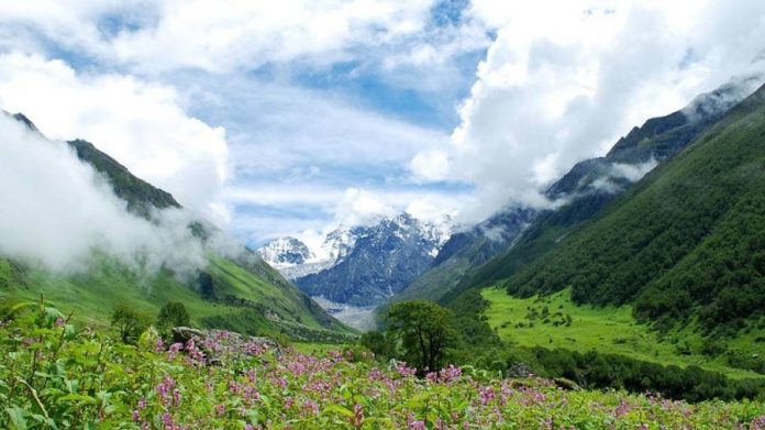 valley of flowers national park