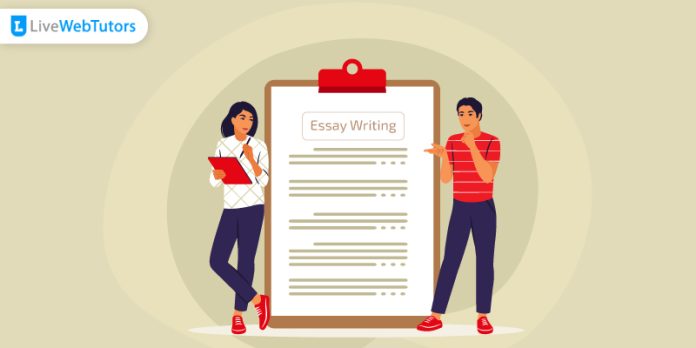 cheap essay writing help