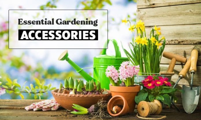 How to Choose Essential Garden Accessories Online