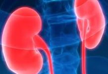 increased kidney size