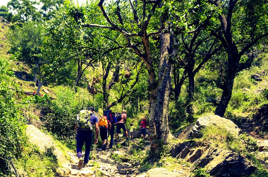 rocky trek trail from Pantwari