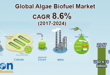 Global Algae Biofuel Market