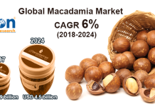 Global Macadamia Market
