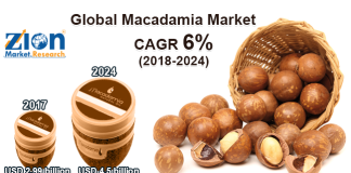 Global Macadamia Market
