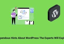Stupendous Hints About Wordpress The Experts Will Explain