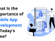 What Is the Importance of Mobile App Development in Today's Time