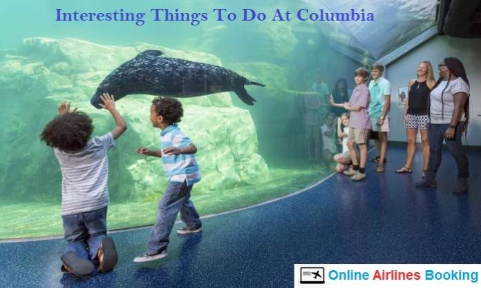 Things To Do At Columbia