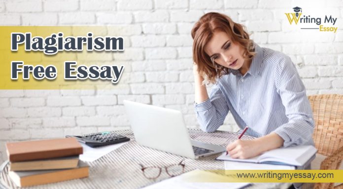 plagiarism free essay