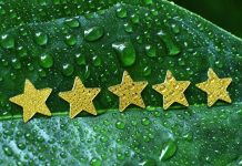 "How to Get Started with Buying Google Reviews"