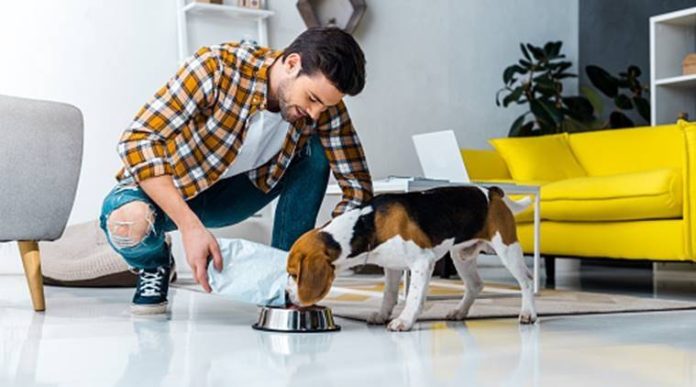 The ultimate guide to understanding pet sitting and dog walking software.