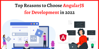 AngularJS for Development