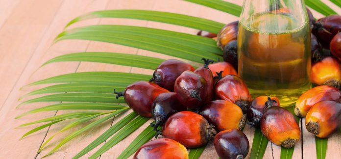 North America Palm Oil Market