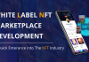 white label NFT marketplace development