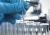 What are Forensic Evidence and DNA Evidence?