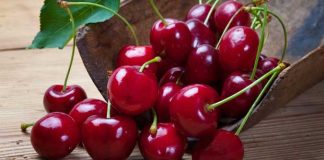 Are You Getting Too Much Protein in Cherries?