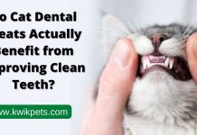 Cat Dental treats