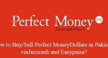 perfect money exchanger in pakistan