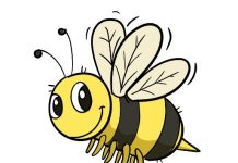 Honey Bee Drawing