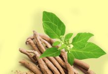 Ashwagandha - Uses, Side Effects, and More