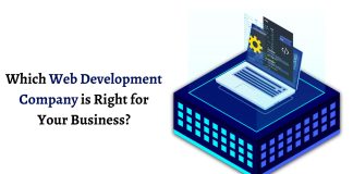 Which Web Development Company is Right for Your Business