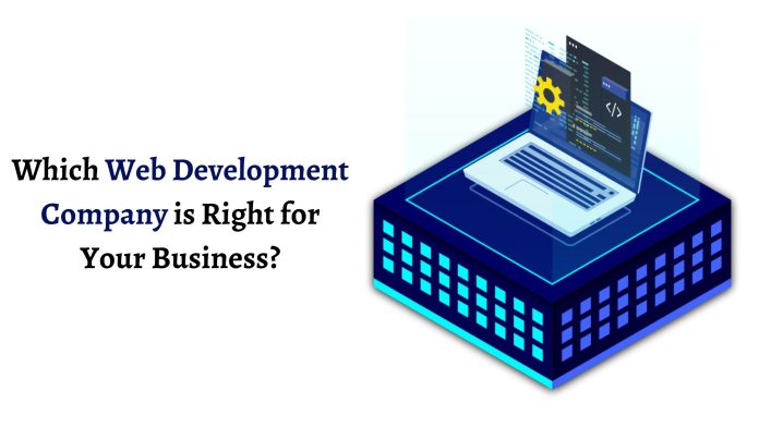 Which Web Development Company is Right for Your Business