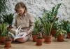 How Indoor Plants Can Help Improve Your Memory