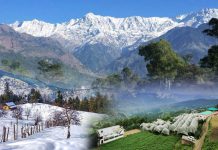 Honeymoon Trip To Shimla And Manali: Best Option For Married Couple