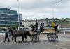 horse drawn funeral