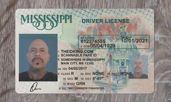Fake Mississippi ID