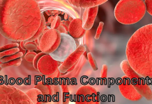 Blood plasma contains many components and functions.